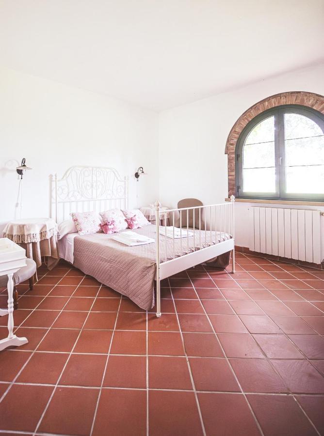 Ferienwohnung Relais Casale Il Poggetto - Olivo 1 By Zoom In Earth Cecina  Exterior foto